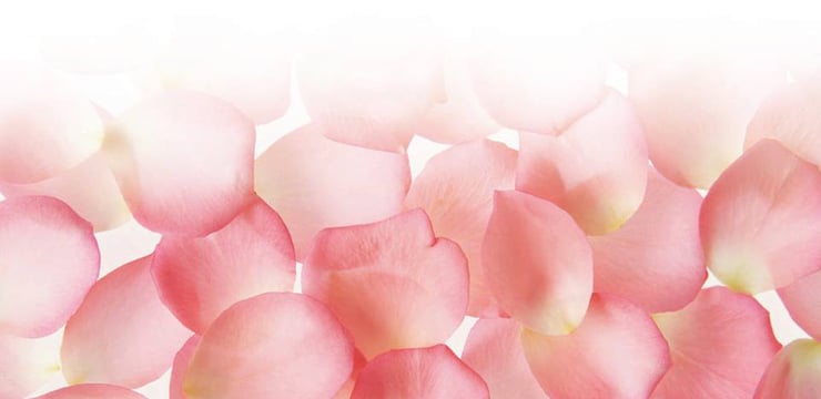 With indulgent combinations of pure botanicals, rare sea salts, and critical minerals, Ila’s skin and body care truly make you feel as if you’re at a spa. The aromatherapeutic scents are absolutely out of this world, and the ingredients and sourcing are next-level: Founder Denise Leicester buys only from farms that prioritize farm workers and the environment, and she focuses on vibrational qualities within ingredients. Working with local co-ops in Pakistan and the Himalayas, the company empowers women through small enterprise; in the Amazon, it works with indigenous communities to preserve their way of life by creating sustainable tribal business models. Fittingly, “ila” is the Sanskrit word for “earth.”