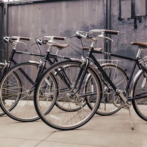 Linus bike roadster 2025 classic