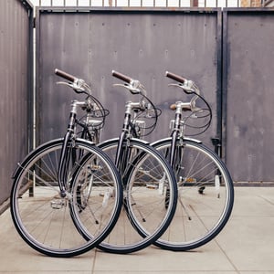 Linus Roadster 7i goop