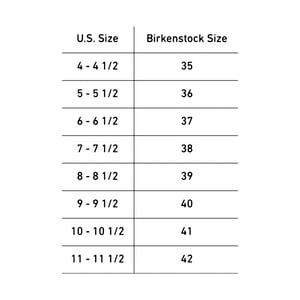 Size 40 birkenstocks us 2025