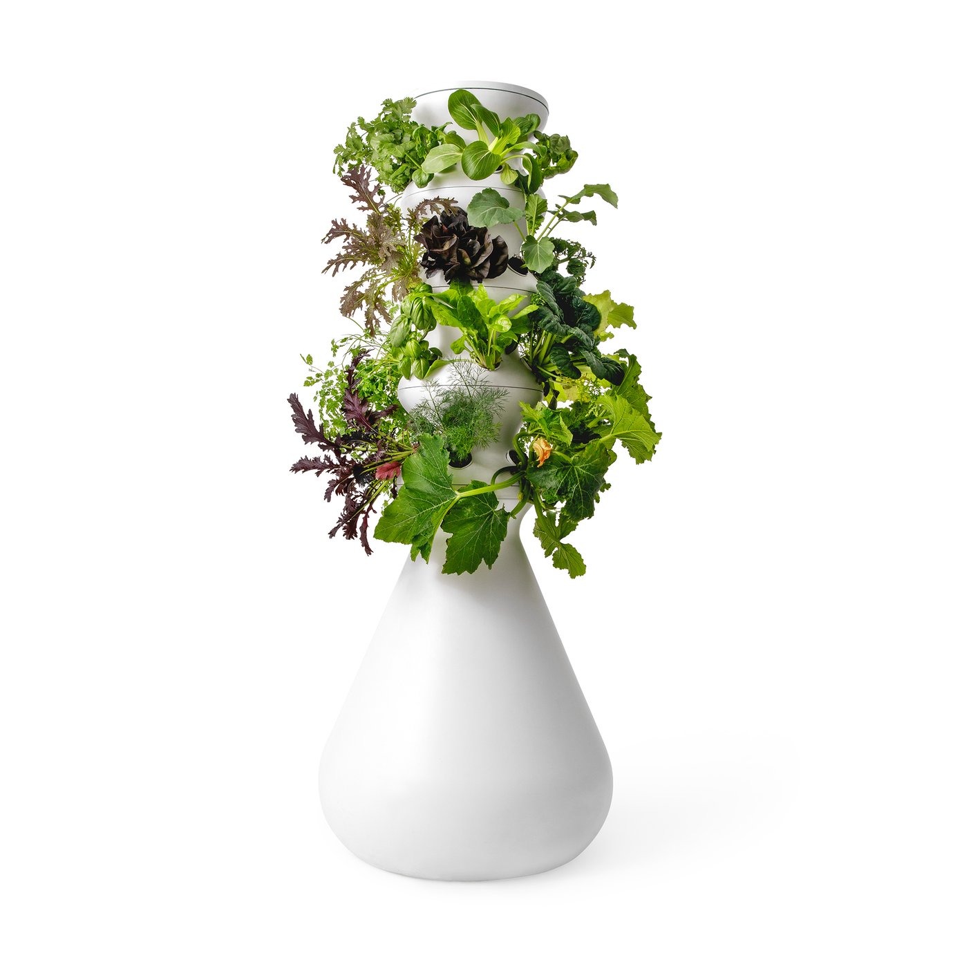 Lettuce Grow The Farmstand | goop