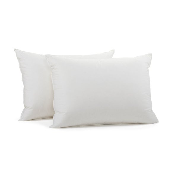Coyuchi  Organic Down Pillow Insert Standard