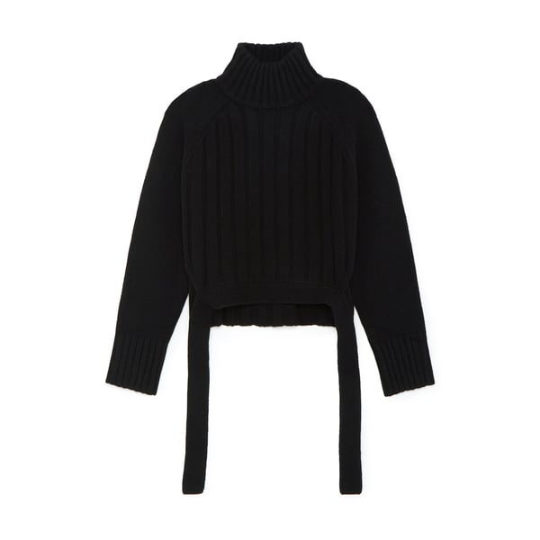 Proenza Schouler Wool-Cashmere Turtleneck Sweater 