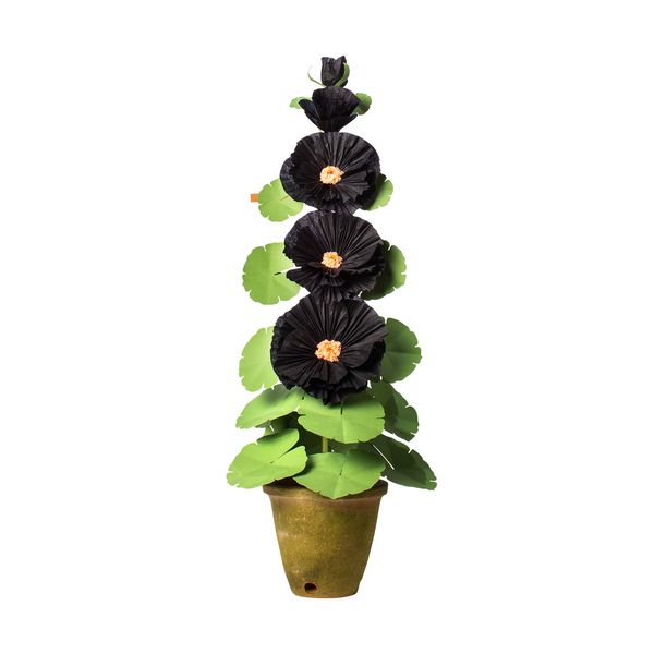 The Green Vase Hollyhock Plant