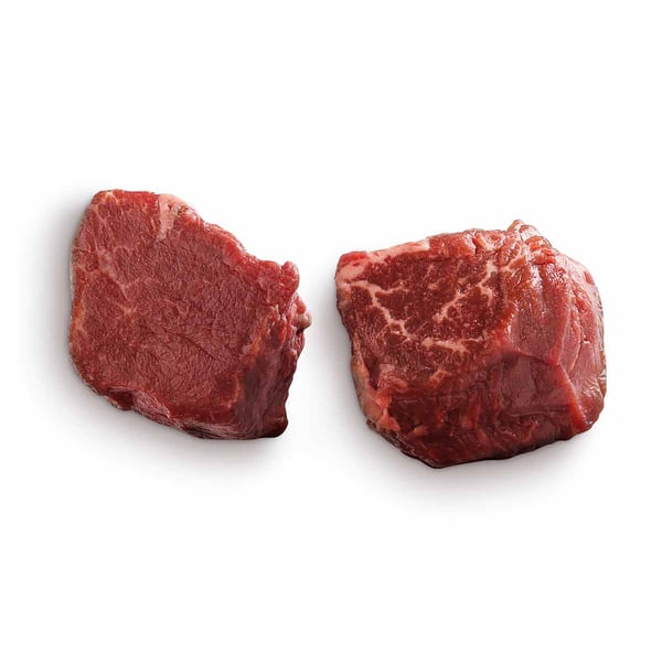 Snake River Farms American Wagyu Ribeye and Filet Package 