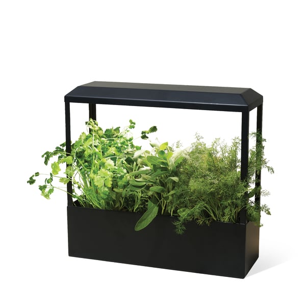 Modern Sprout Smart Growhouse