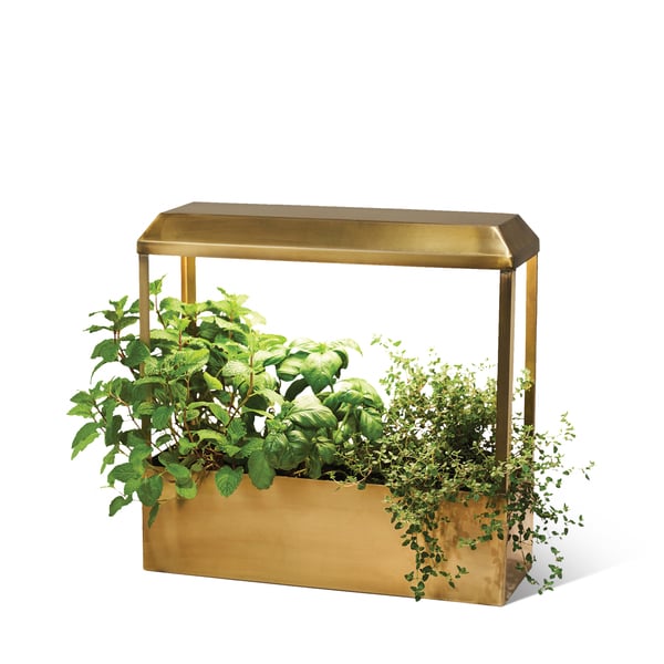 Modern Sprout Smart Growhouse