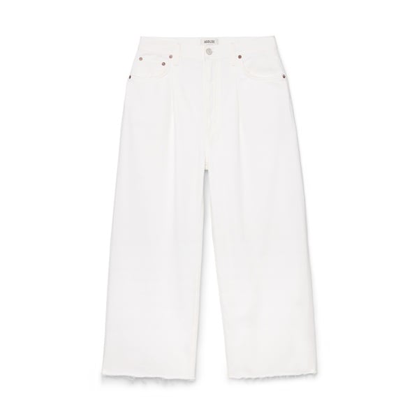 AGOLDE Dagna HighRise Pleated Baggy Jeans goop