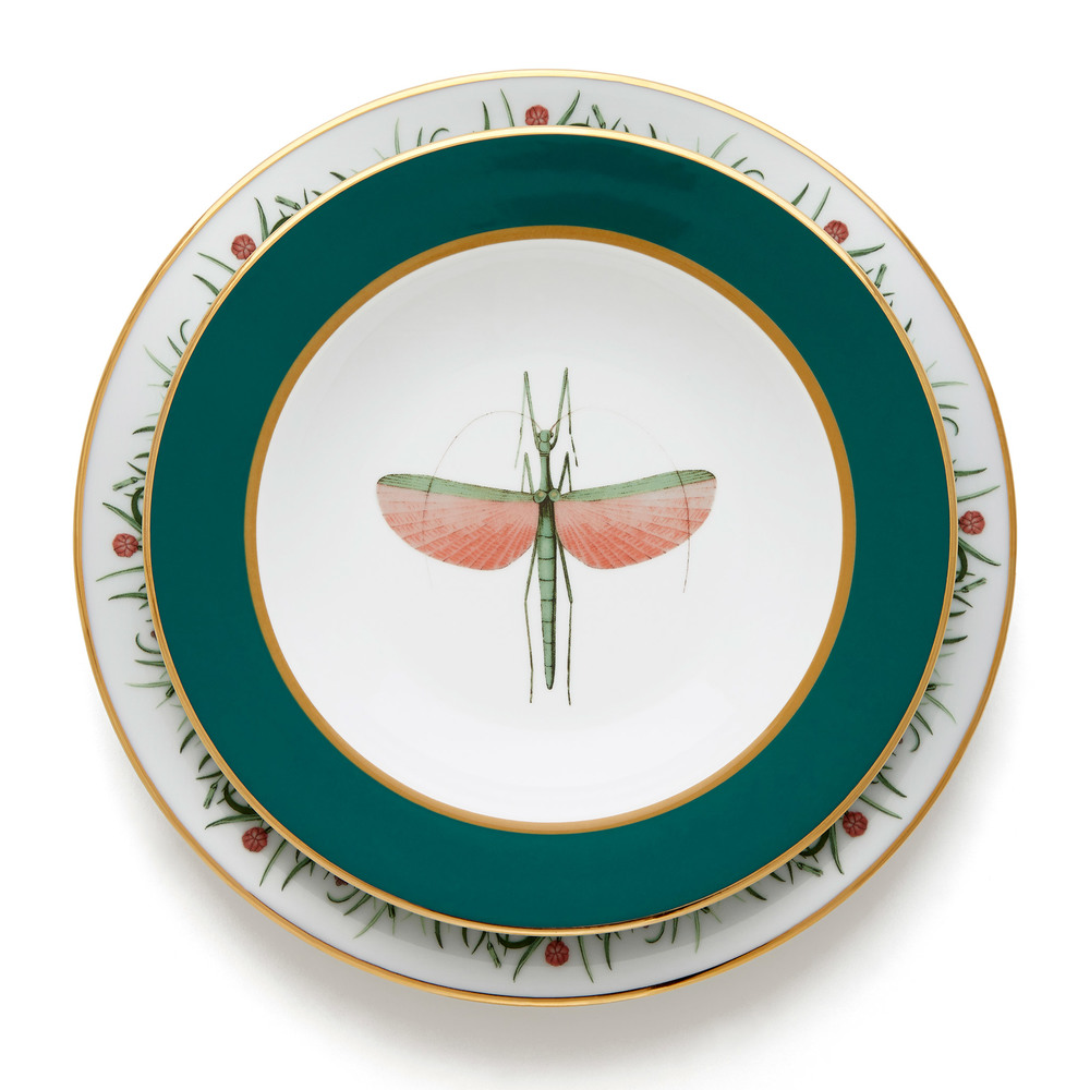 Dinner Plate Sets