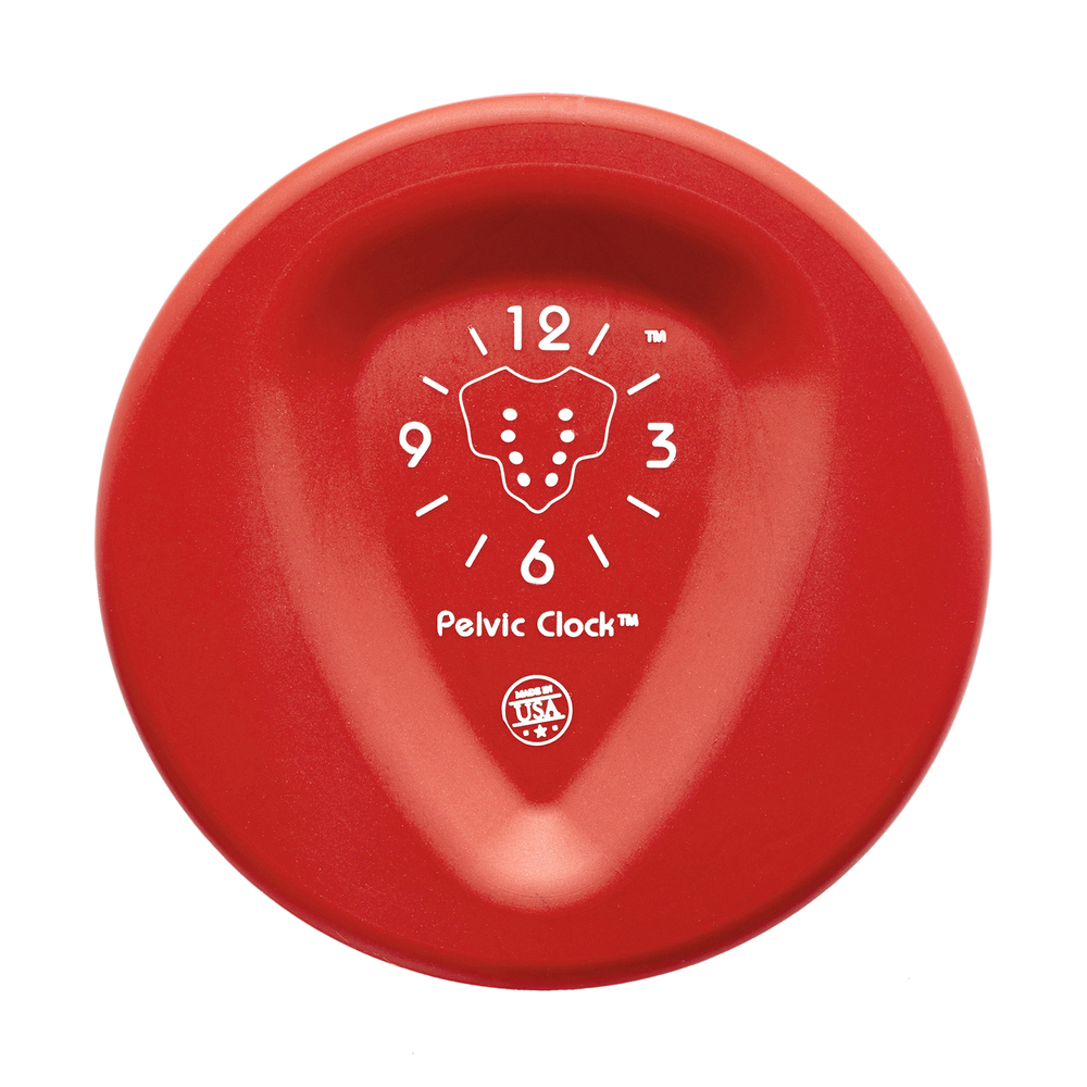 Pelvic Clock Pelvic Clock Exercise Device goop