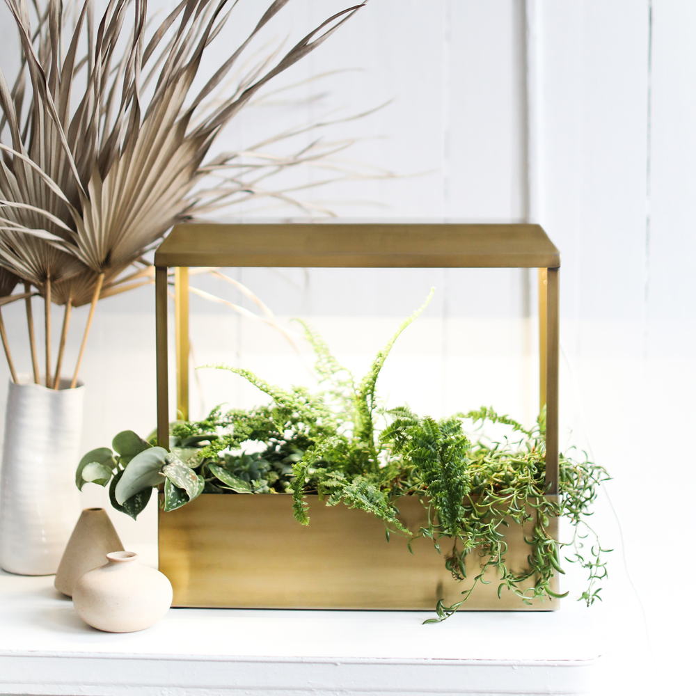 Modern Sprout Smart Growhouse In Brass