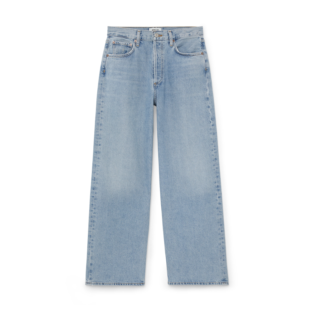 AGOLDE Low-Slung Baggy Jeans | goop