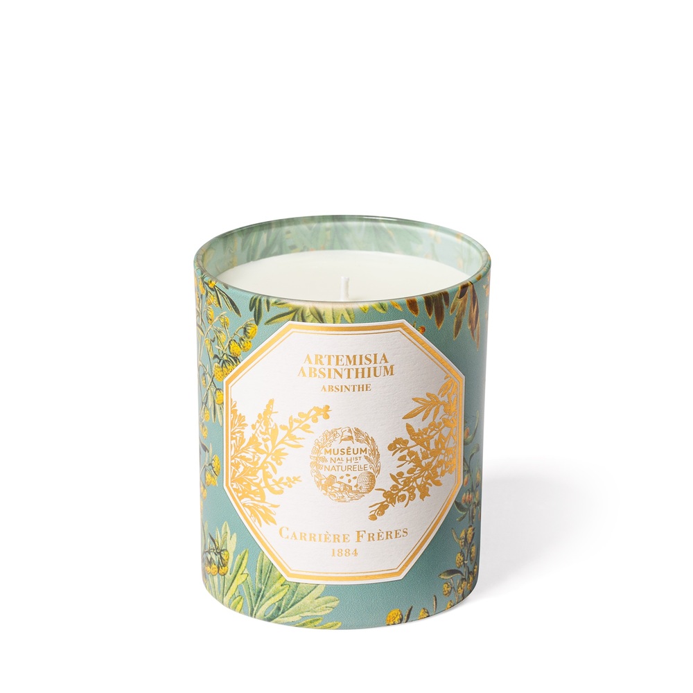 Carrière Frères Absinthe Candle In Artemisia Absinthium