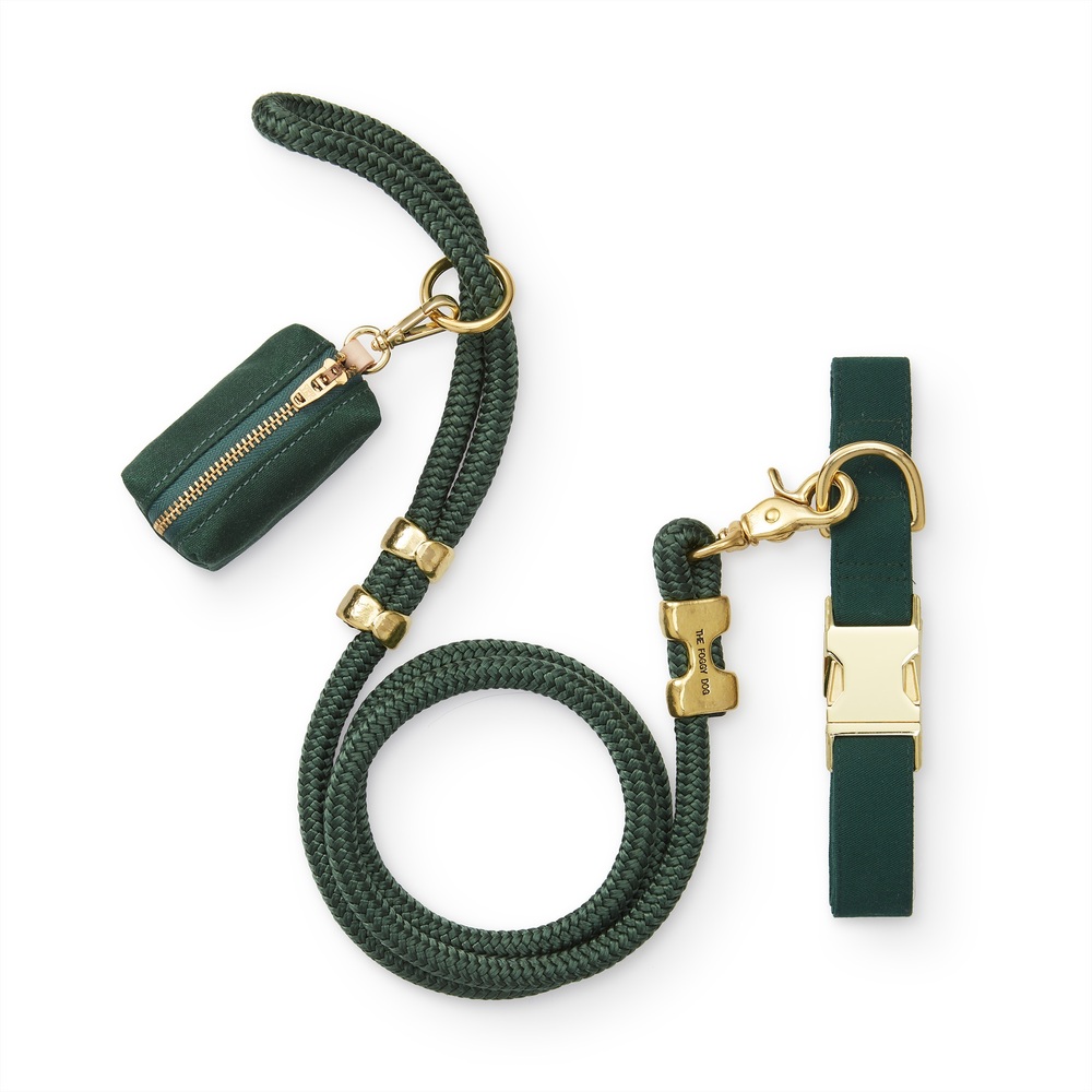 The Foggy Dog Evergreen Collar Walk Set In Green