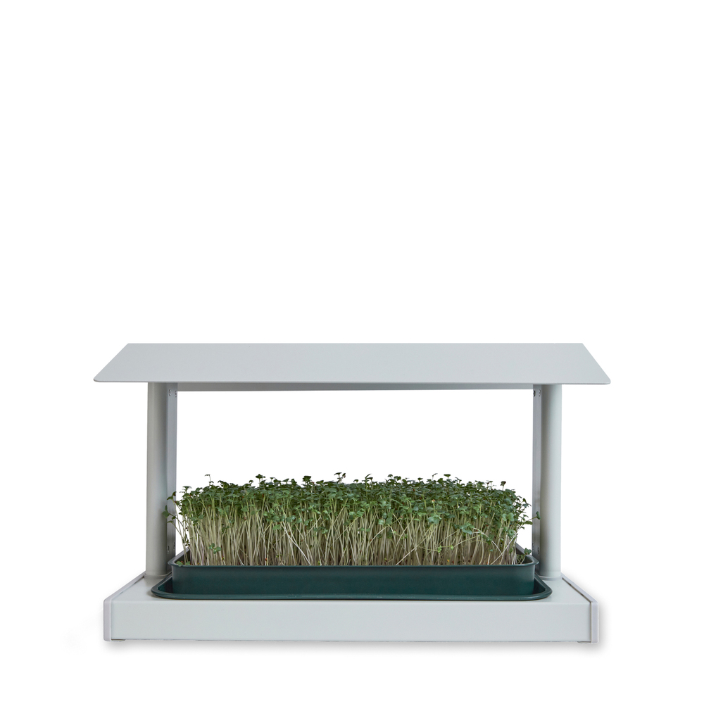 Leath The Fieldhouse Microgreen Grow System In White